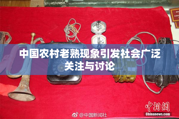 中国农村老熟现象引发社会广泛关注与讨论