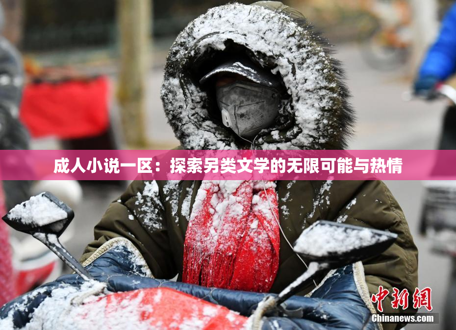 成人小说一区：探索另类文学的无限可能与热情
