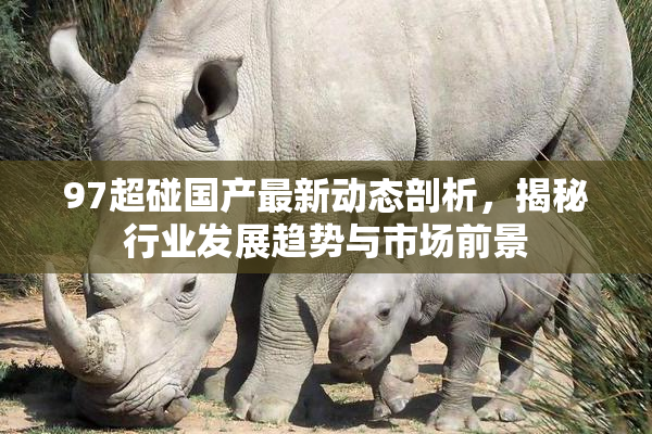 97超碰国产最新动态剖析，揭秘行业发展趋势与市场前景