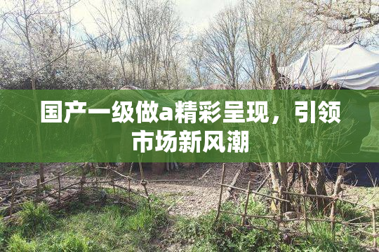 国产一级做a精彩呈现，引领市场新风潮