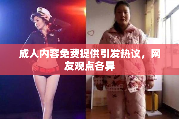 成人内容免费提供引发热议，网友观点各异