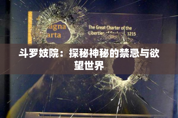 斗罗妓院：探秘神秘的禁忌与欲望世界