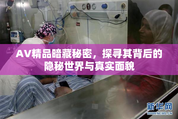 AV精品暗藏秘密，探寻其背后的隐秘世界与真实面貌