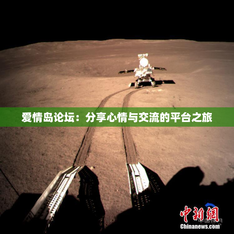 爱情岛论坛：分享心情与交流的平台之旅