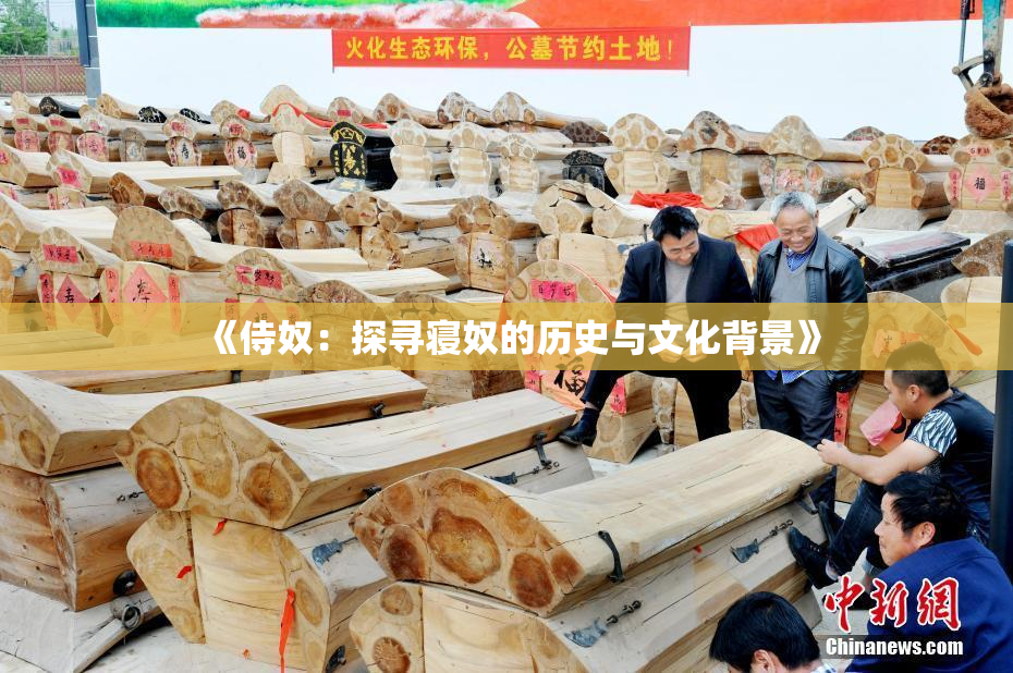 《侍奴：探寻寝奴的历史与文化背景》