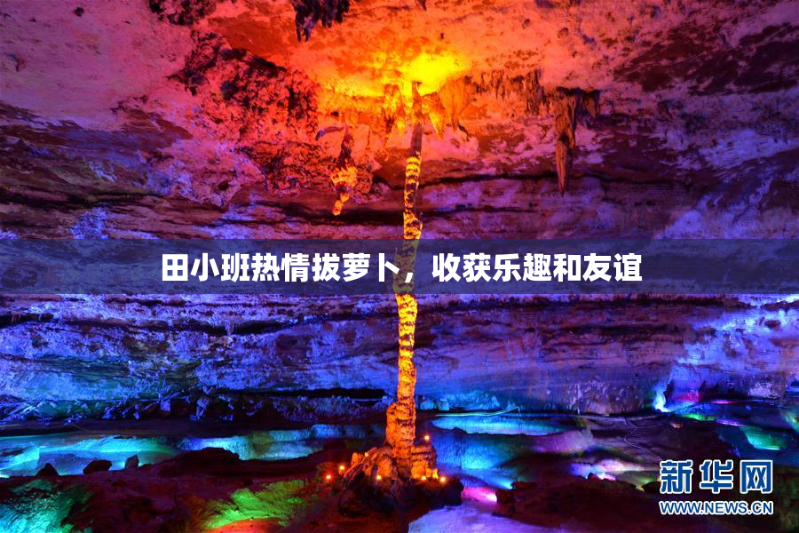 田小班热情拔萝卜，收获乐趣和友谊