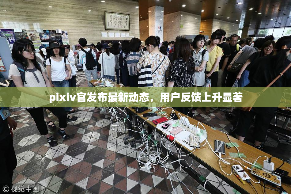pixiv官发布最新动态，用户反馈上升显著