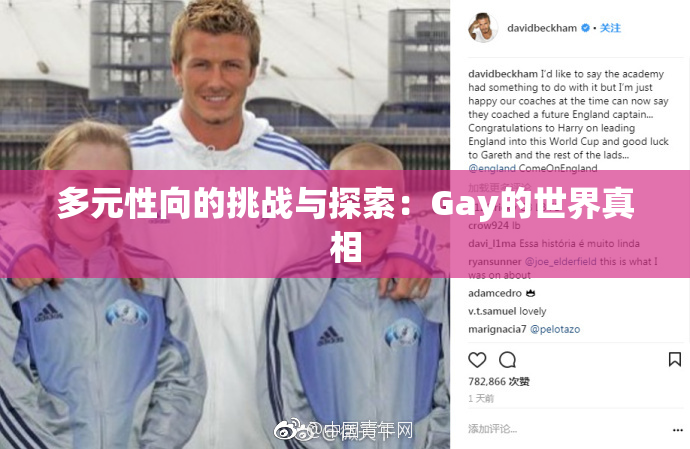 多元性向的挑战与探索：Gay的世界真相