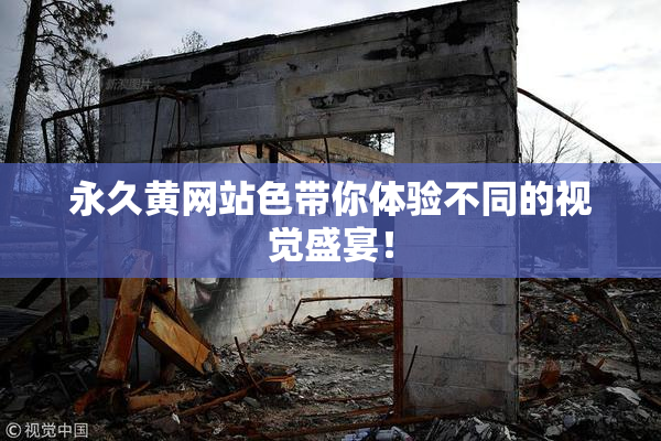 永久黄网站色带你体验不同的视觉盛宴！