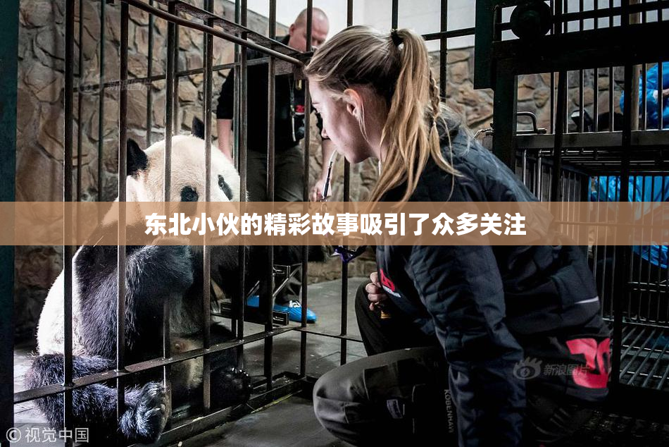 东北小伙的精彩故事吸引了众多关注