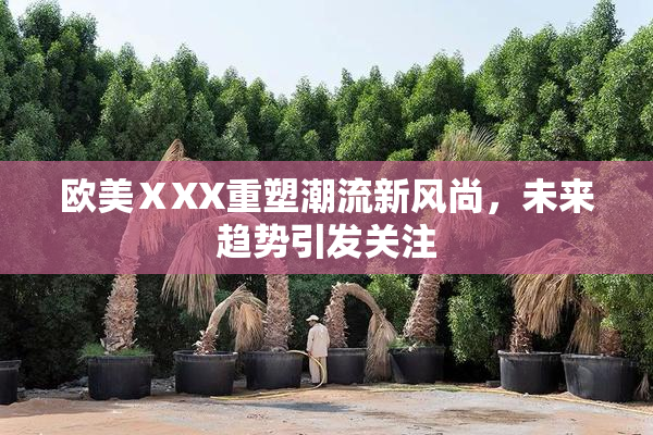 欧美ⅩXX重塑潮流新风尚，未来趋势引发关注