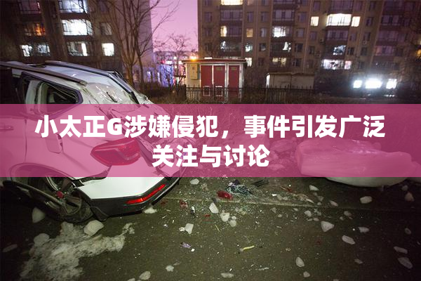 小太正G涉嫌侵犯，事件引发广泛关注与讨论