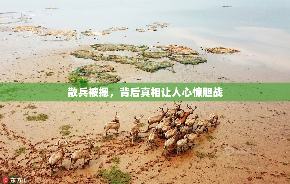 散兵被摁，背后真相让人心惊胆战