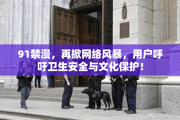 91禁漫，再掀网络风暴，用户呼吁卫生安全与文化保护！