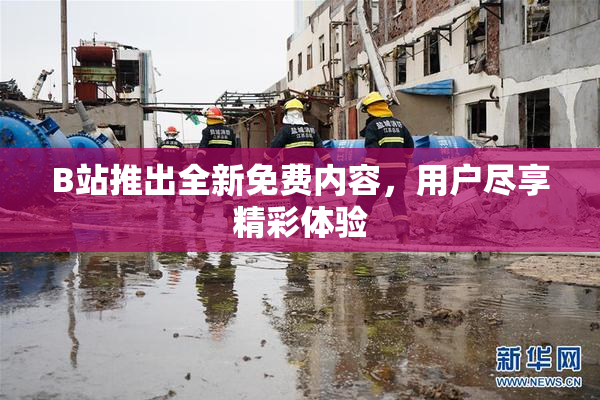 B站推出全新免费内容，用户尽享精彩体验