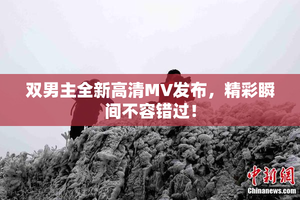 双男主全新高清MV发布，精彩瞬间不容错过！