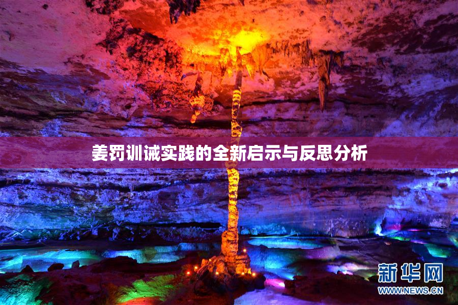 姜罚训诫实践的全新启示与反思分析