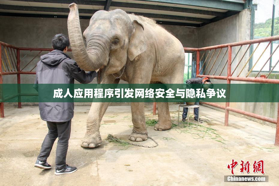 成人应用程序引发网络安全与隐私争议
