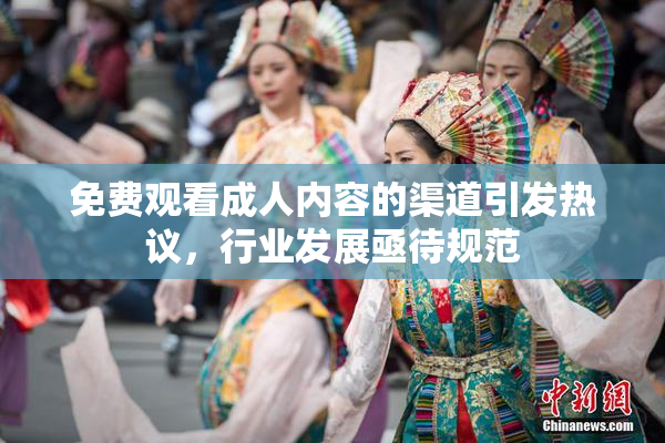 免费观看成人内容的渠道引发热议，行业发展亟待规范
