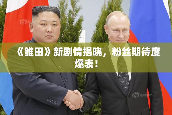 《雏田》新剧情揭晓，粉丝期待度爆表！