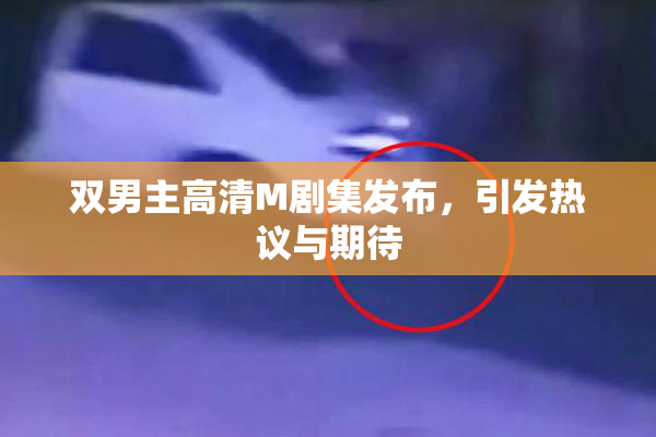 双男主高清M剧集发布，引发热议与期待
