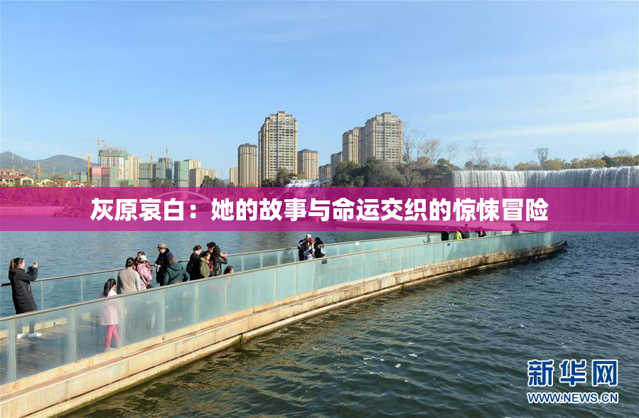 灰原哀白：她的故事与命运交织的惊悚冒险