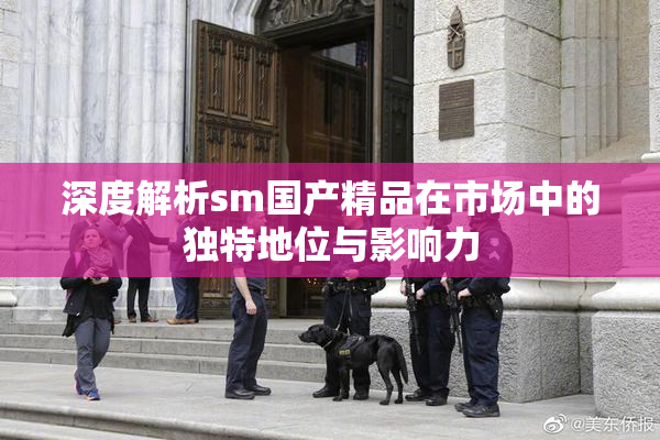 深度解析sm国产精品在市场中的独特地位与影响力