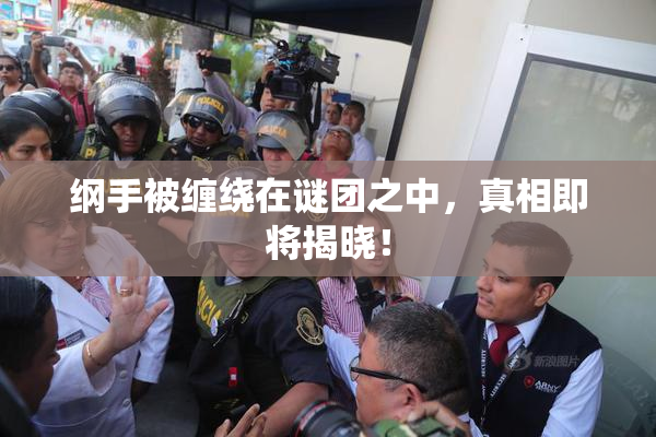 纲手被缠绕在谜团之中，真相即将揭晓！