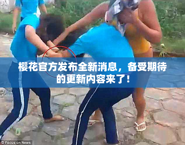 樱花官方发布全新消息，备受期待的更新内容来了！