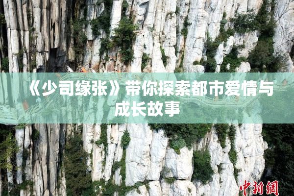 《少司缘张》带你探索都市爱情与成长故事