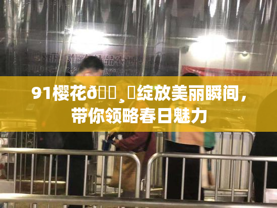 91樱花🌸‌绽放美丽瞬间，带你领略春日魅力