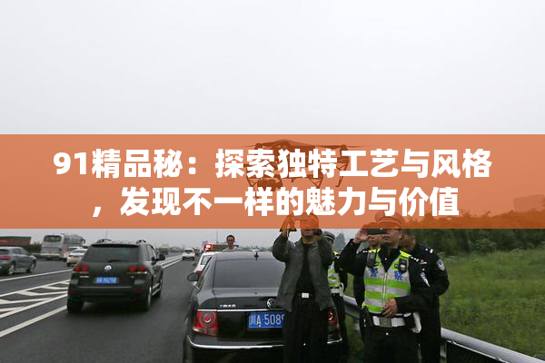 91精品秘：探索独特工艺与风格，发现不一样的魅力与价值