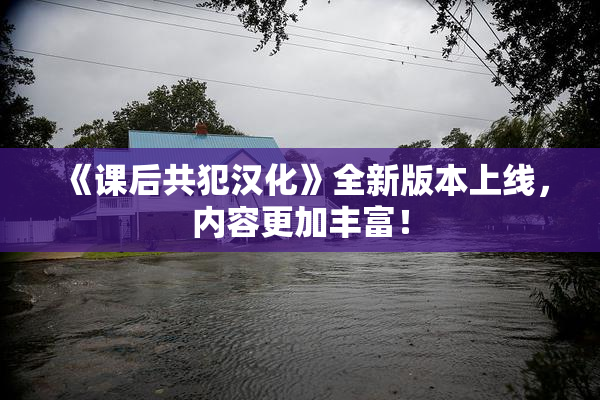《课后共犯汉化》全新版本上线，内容更加丰富！