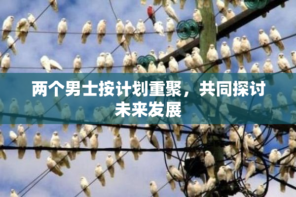 两个男士按计划重聚，共同探讨未来发展