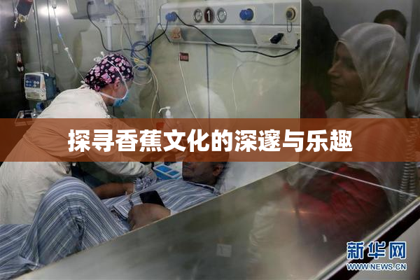 探寻香蕉文化的深邃与乐趣