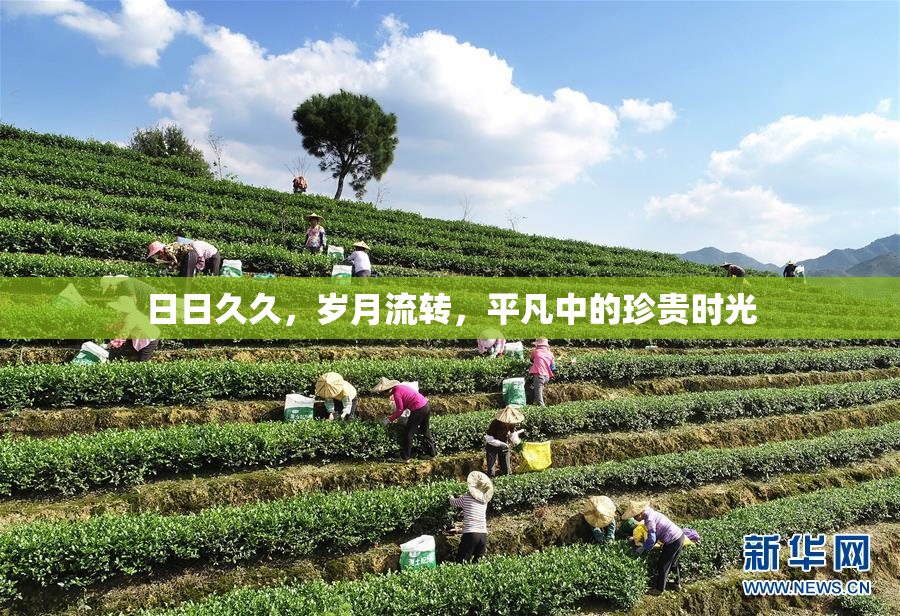 日日久久，岁月流转，平凡中的珍贵时光