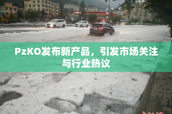 PzKO发布新产品，引发市场关注与行业热议