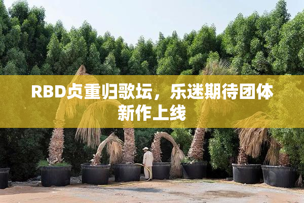 RBD贞重归歌坛，乐迷期待团体新作上线