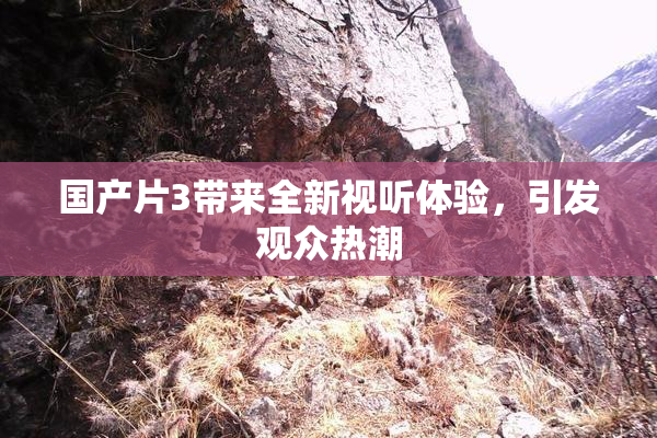国产片3带来全新视听体验，引发观众热潮