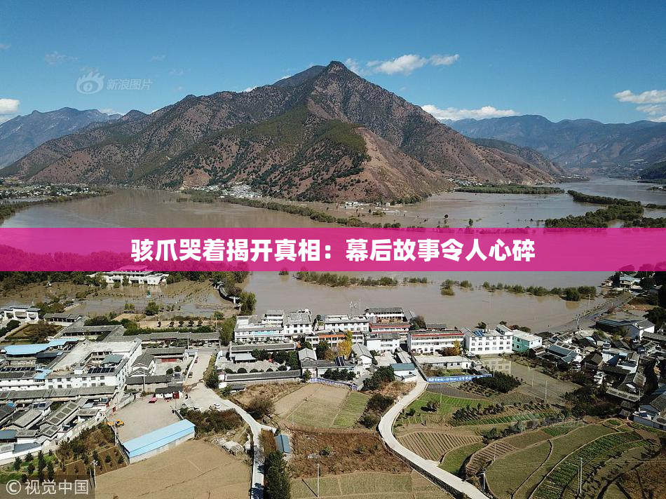 骇爪哭着揭开真相：幕后故事令人心碎