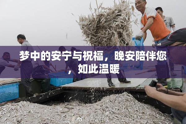 梦中的安宁与祝福，晚安陪伴您，如此温暖