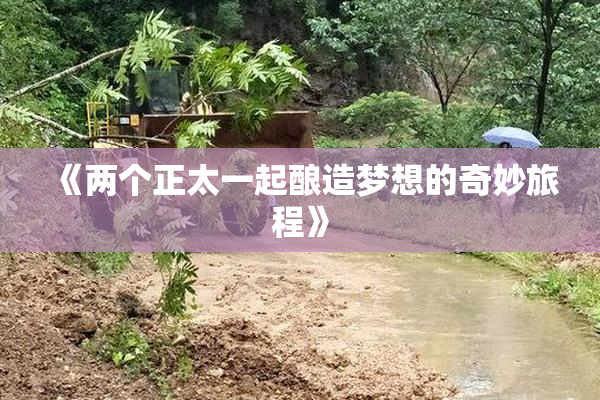 《两个正太一起酿造梦想的奇妙旅程》