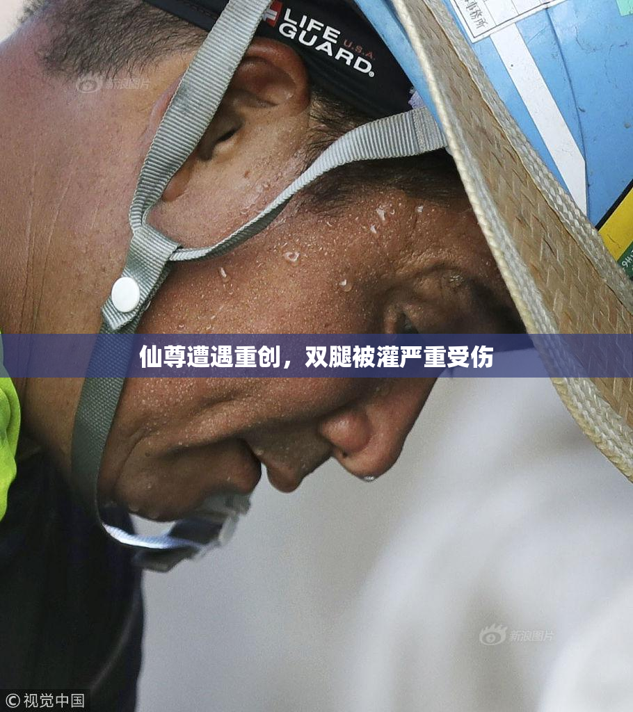 仙尊遭遇重创，双腿被灌严重受伤