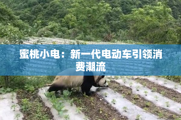 蜜桃小电：新一代电动车引领消费潮流
