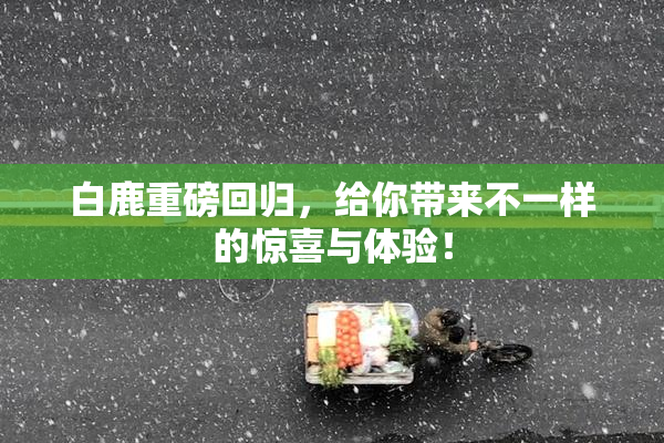 白鹿重磅回归，给你带来不一样的惊喜与体验！