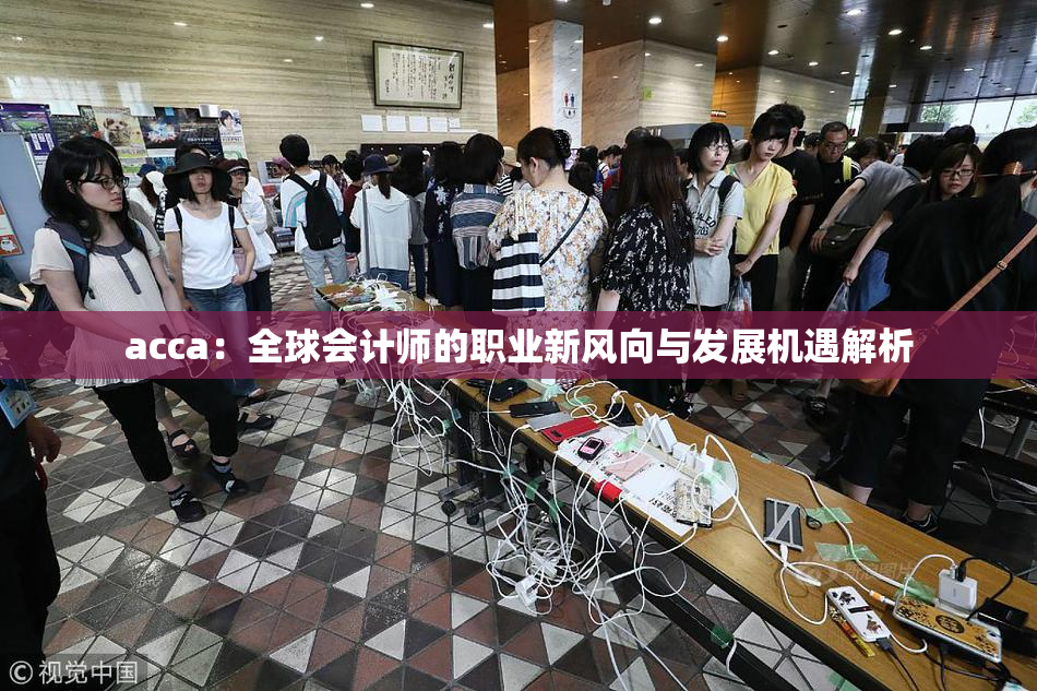 acca：全球会计师的职业新风向与发展机遇解析