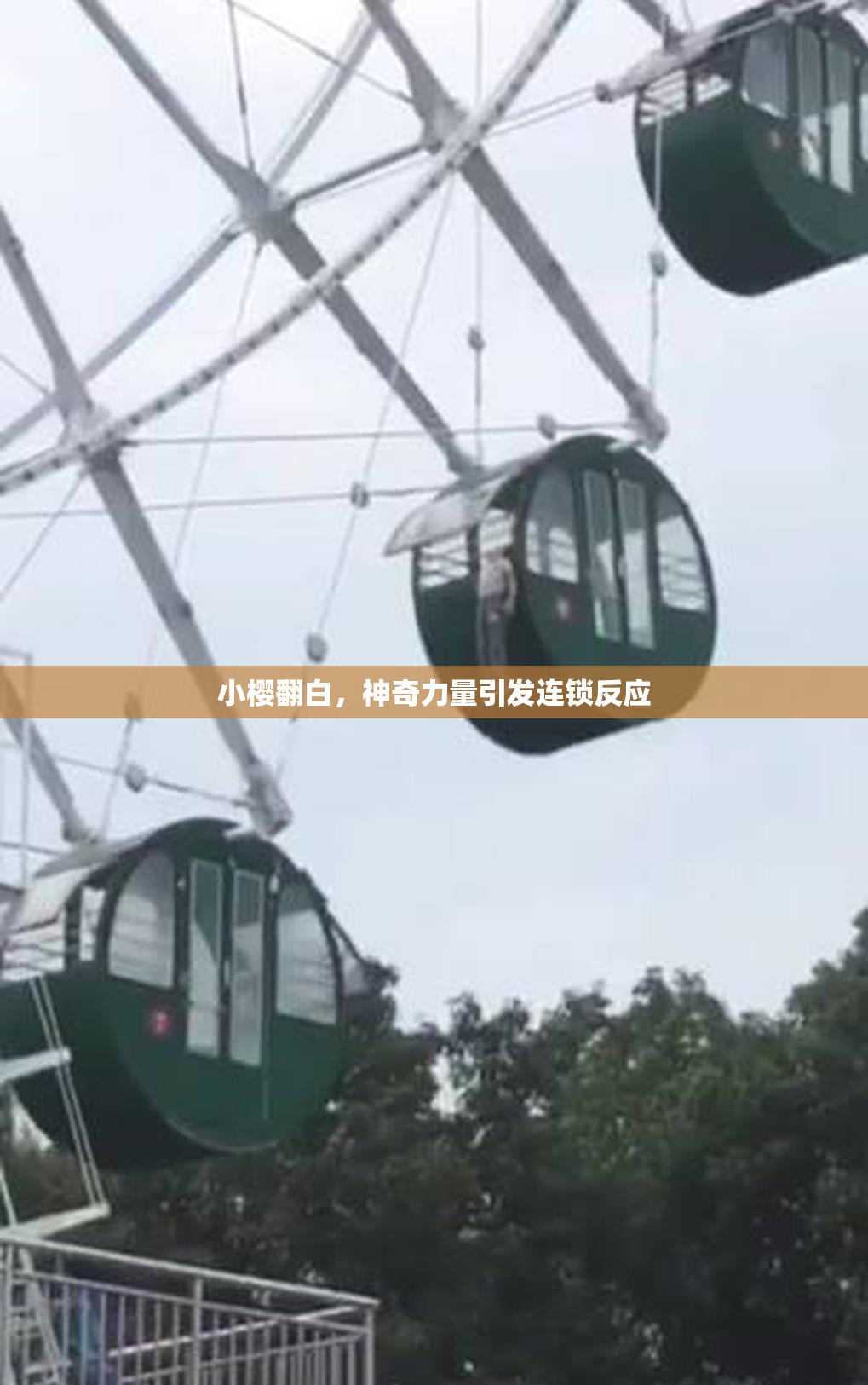 小樱翻白，神奇力量引发连锁反应