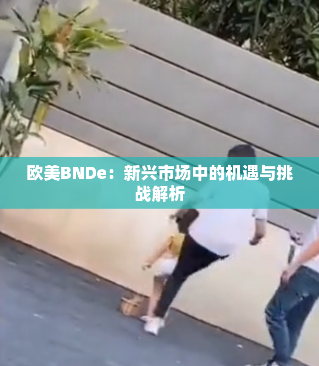 欧美BNDe：新兴市场中的机遇与挑战解析