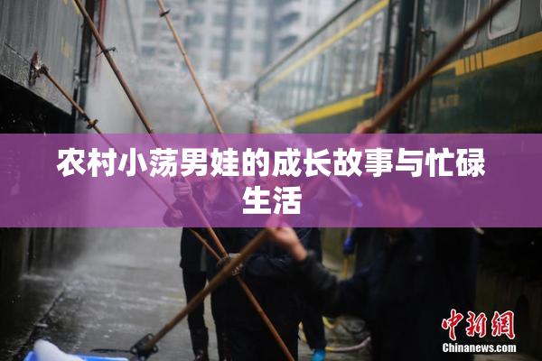 农村小荡男娃的成长故事与忙碌生活
