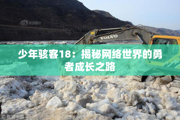 少年骇客18：揭秘网络世界的勇者成长之路